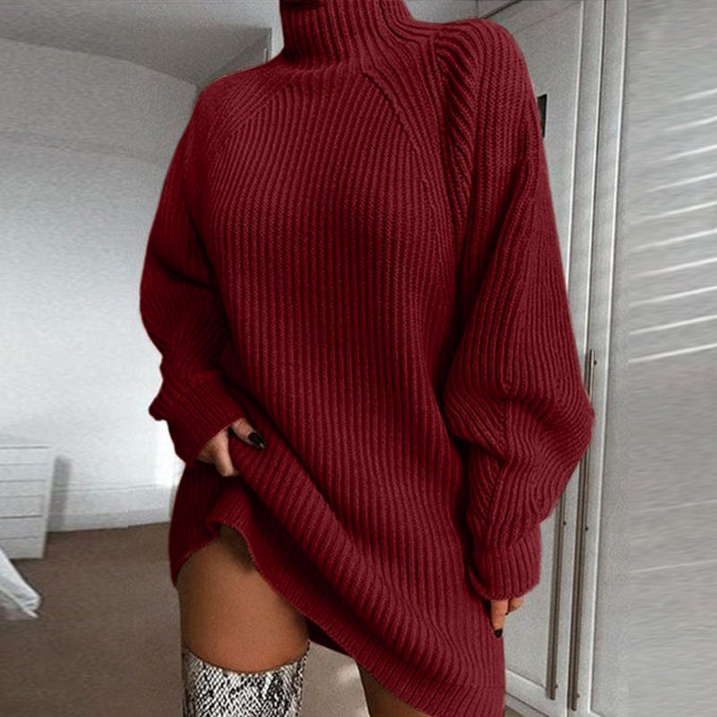Cozy Turtleneck Sweater Dress