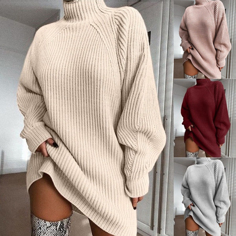 Cozy Turtleneck Sweater Dress
